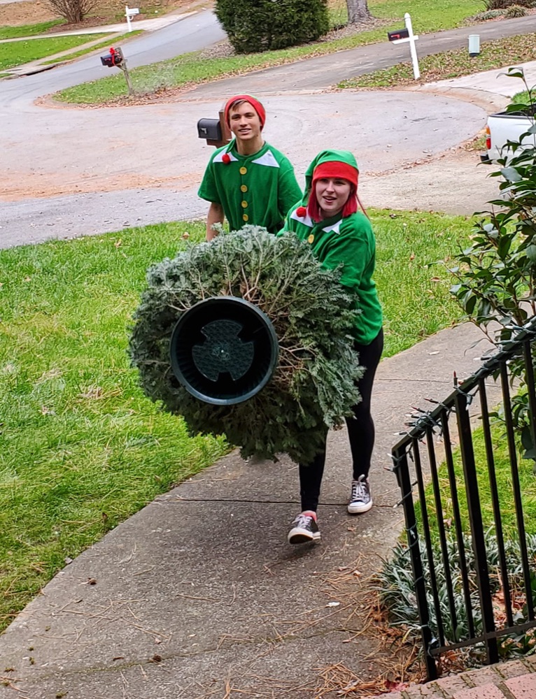 Two elves carrying a fresh-cut Fraser fir up a front walk
