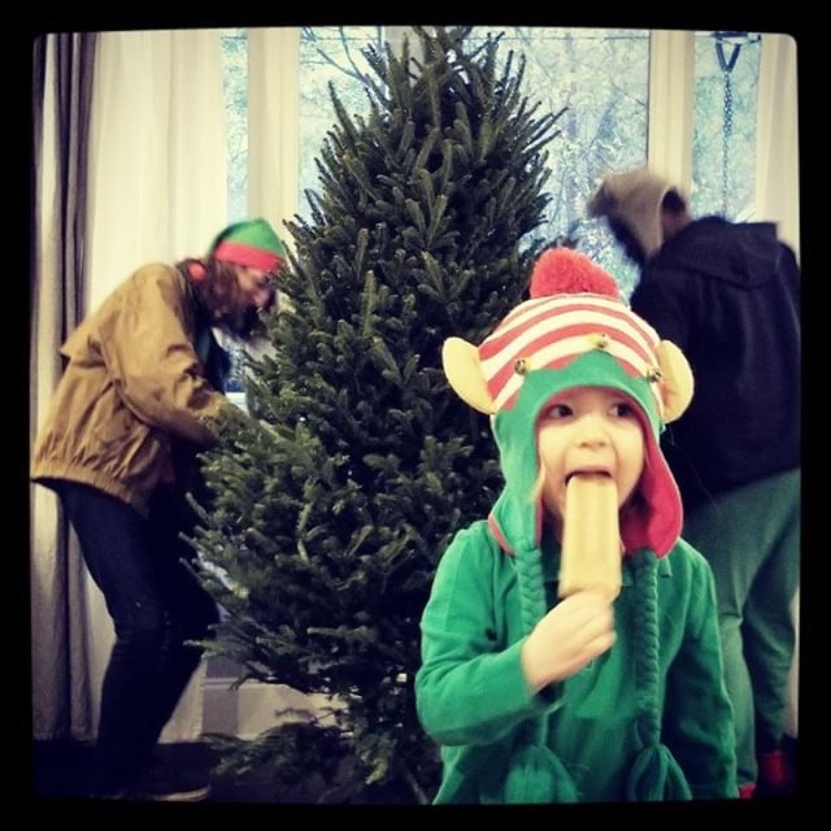 Elves setting up a Fraser fir while a little elf enjoys a King of Pops